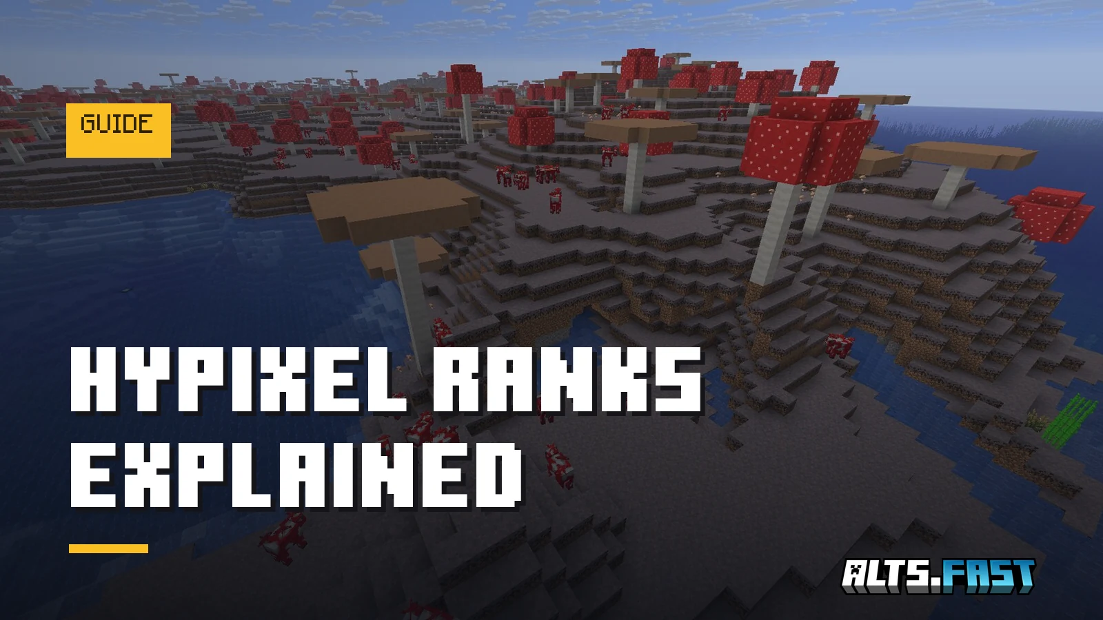 Hypixel Ranks Explained: VIP vs VIP+ vs MVP vs MVP+ in 2026